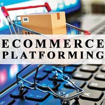 ecommerce platforming
